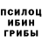 Псилоцибиновые грибы Psilocybine cubensis I Lash